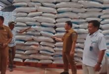 Bulog Bolmong stok beras