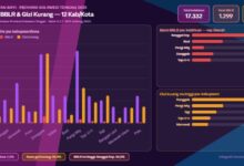 bayi lahir BBLR gizi kurang Sulawesi Tengah 2025