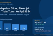 pendapatan daerah Kota Bitung