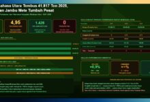 produksi perkebunan rakyat Minahasa Utara