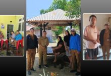 Pajak sarang walet Boltara